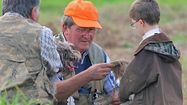 DÉCRYPTAGE - Coup de chaud autour de la chasse